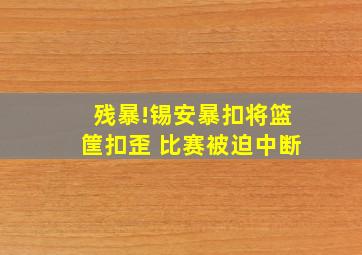 残暴!锡安暴扣将篮筐扣歪 比赛被迫中断